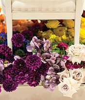 The Gallery at 200 Lex_Barry Lantz_Flowers Thumbnail