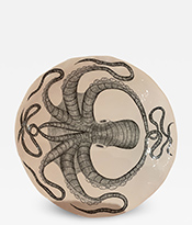 Tom Rooth Octoplate Thumbnail