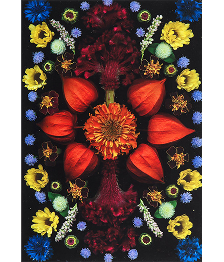 Summer Round Up 20_Portia Munson Chinese Lantern Framed Photograph