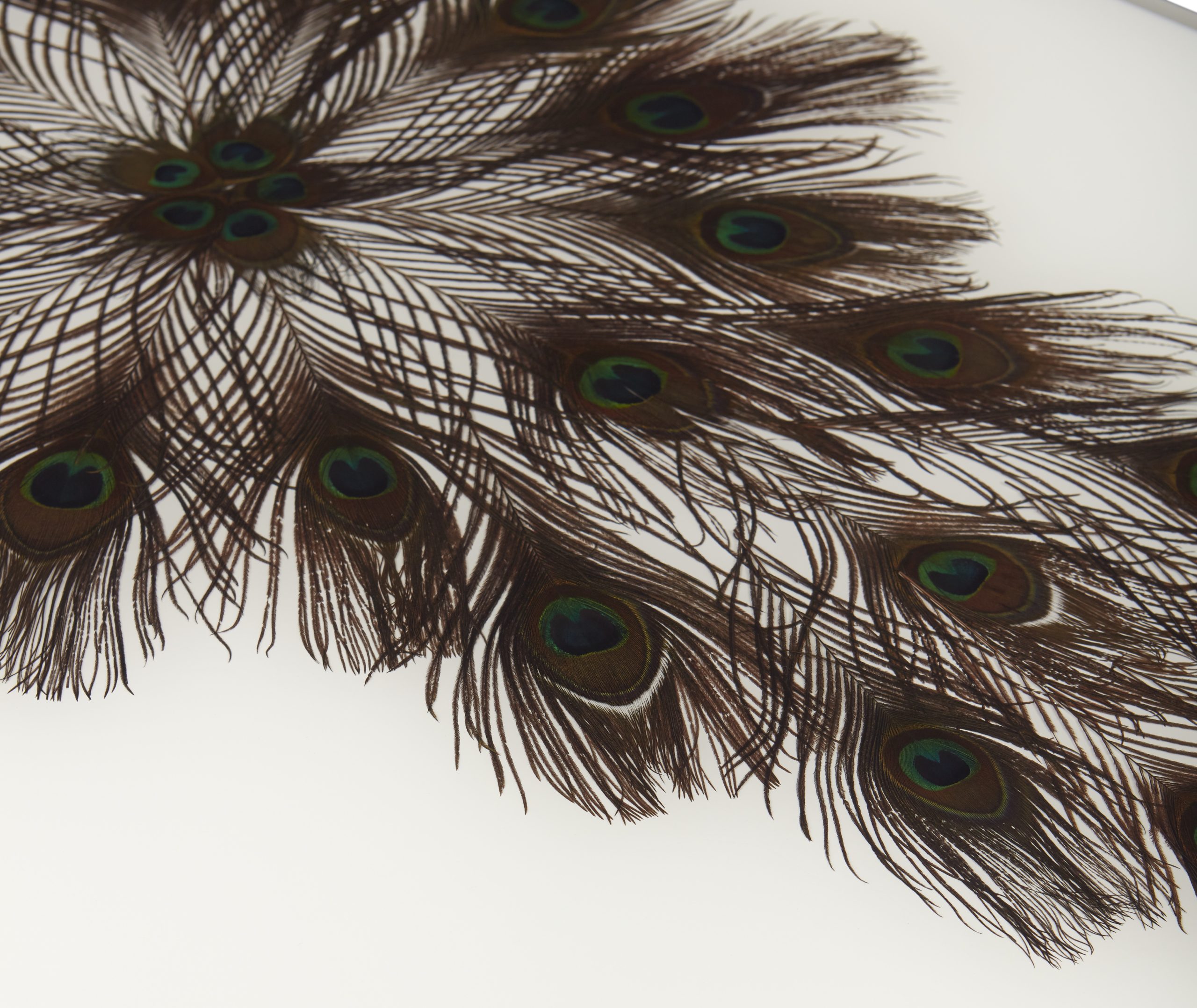 Baker_products_WNWN_peacock_rectangle_cocktail_table_BAA3256_DETAIL-scaled-2