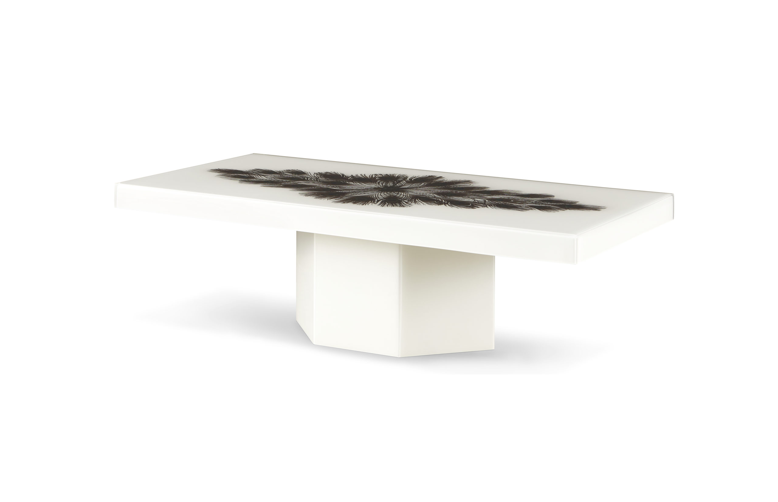 Baker_products_WNWN_peacock_rectangle_cocktail_table_BAA3256_FRONT_3QRT_resize-1-scaled-2