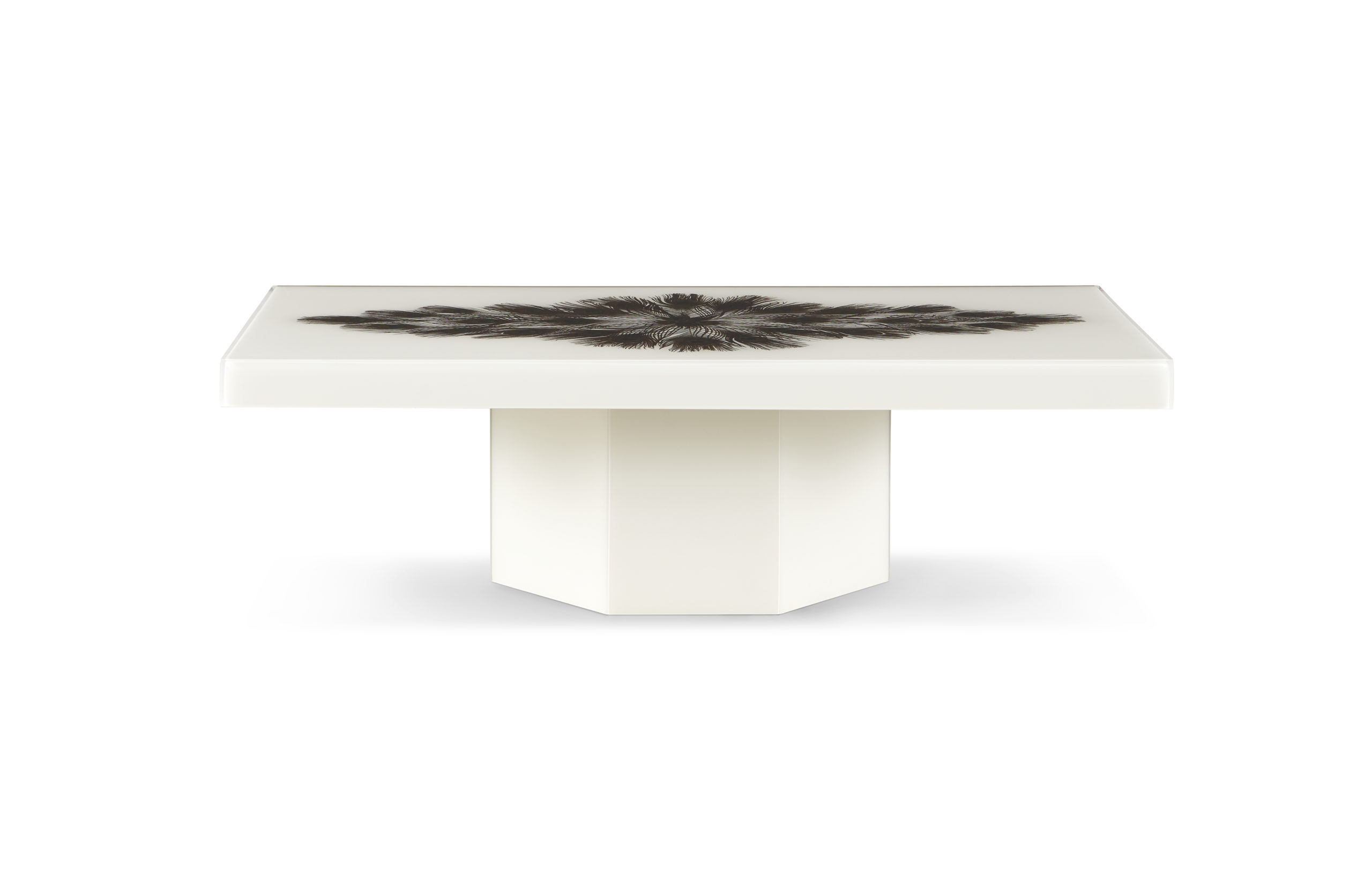 Baker_products_WNWN_peacock_rectangle_cocktail_table_BAA3256_FRONT_resize-scaled-2