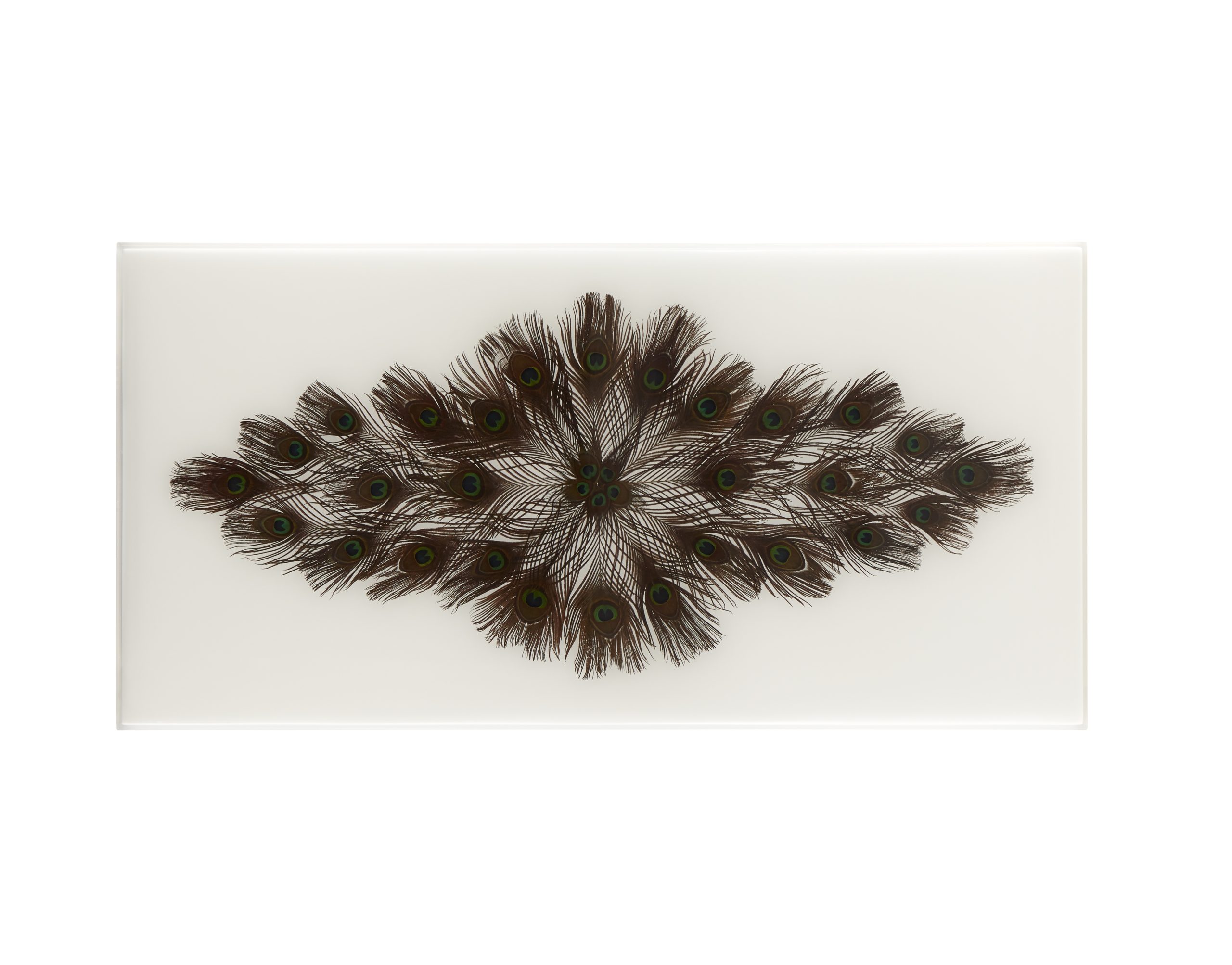 Baker_products_WNWN_peacock_rectangle_cocktail_table_BAA3256_TOP-scaled-2