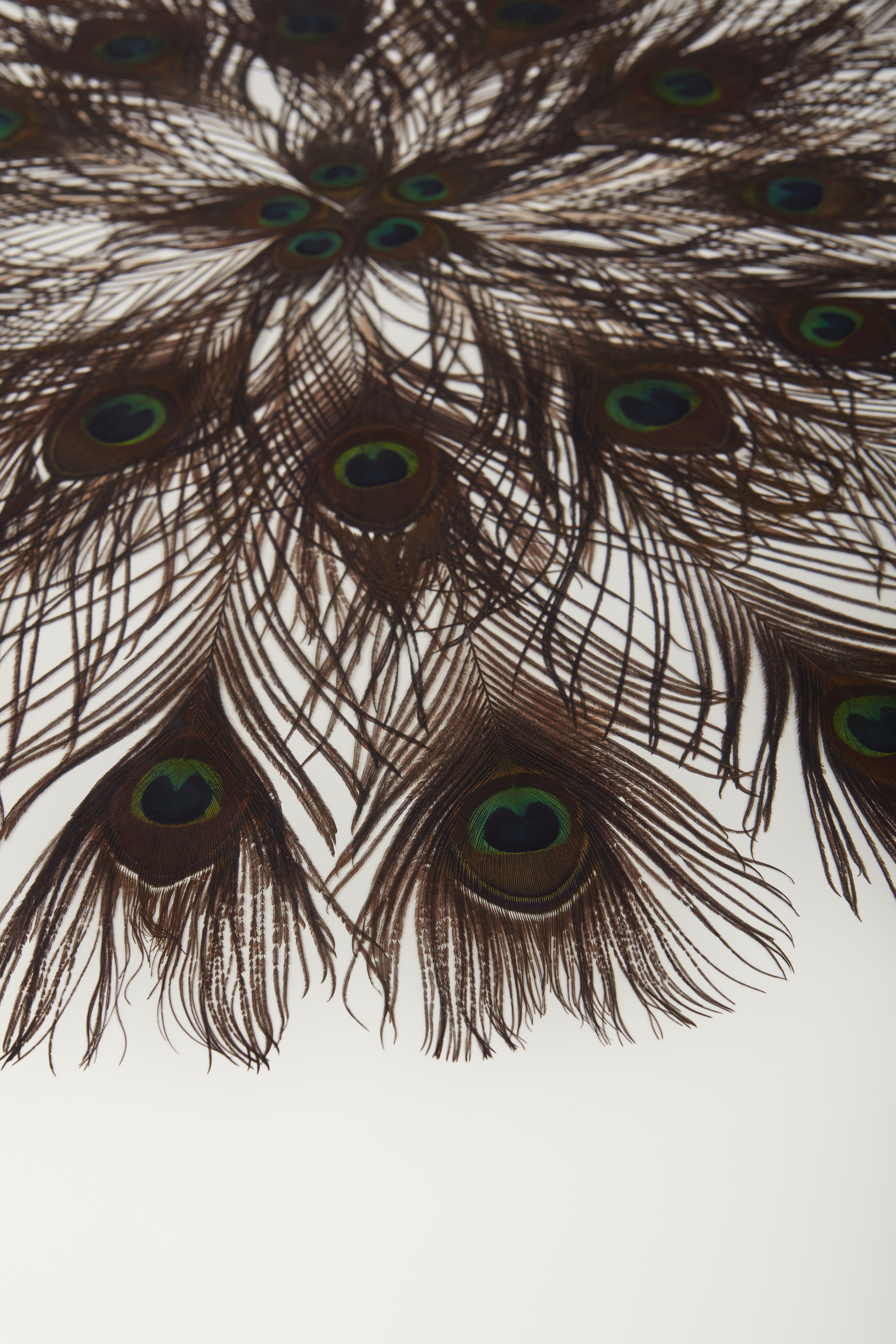 Baker_products_WNWN_peacock_square_cocktail_table_BAA3261_DETAIL-1