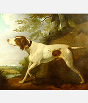The Gallery at 200 Lex_At Point_Thumbnail