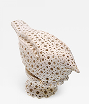 The Gallery at 200 Lex_Bird Sculpture_Thumbnail