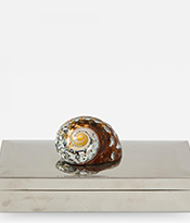 The Gallery at 200 Lex_Chrome Box with Nautilus Shell_Thumbnail